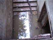 ������ ����������� �������� �������� ���� ������� ���������