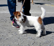 ���, ����, �� ������� ���� ���