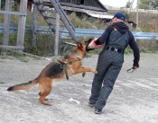 ���, ����, �� ������� ���� ���