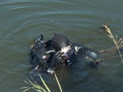 � ������ �������� ���� �������� ���������� ��������