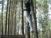 ����������� ��������� � �������� ������ �� ������� ����