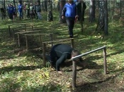 ����������� ��������� � �������� ������ �� ������� ����