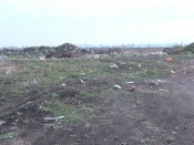 ���������� ���������� ��������� ���������� �������