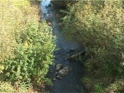 ����������� �������� ������� ������ ��������