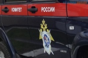 Пенсионерка из Назаровского района попыталась убить свою семью
