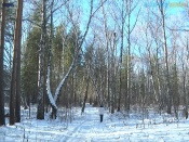 ��������� ����������� �� ���� ��� ��������� ������