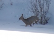 � ��������� ����� ������������� ��������