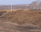 � ������� ��������� � ����������� ������ ���������� ����� ������ �� ���� ��������� ������