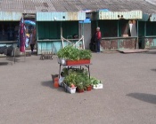 �������� �������� � ������ �������� ���������� ����������