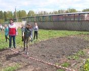 ���������� ������������ ������� ������ � ����� � �������