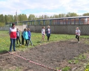 ���������� ������������ ������� ������ � ����� � �������