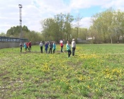 ���������� ������������ ������� ������ � ����� � �������