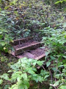 ������������� ������ �������� ����� ��������� ��������