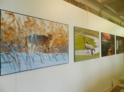 � ��������� ������ �������� ������� ���������� ������������ ������������� �������