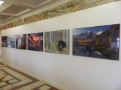 � ��������� ������ �������� ������� ���������� ������������ ������������� �������