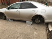 � ������ �������� ���� �� ����� ����� �����