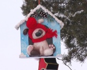 ����������� ���� ������������ ������� ���������� ��������