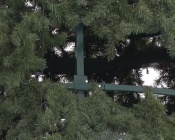 ��������� ���� ������� ��������