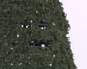 ��������� ���� ������� ��������