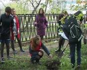 Воспитанники Назаровского школьного лесничества станут участниками слета 