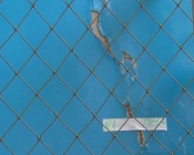 ��� ������ ������ �������� �������� � �������