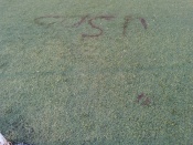 ��������� ��������� ���������� ���� � ������� ����������