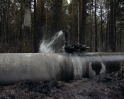 ������ �� ������ ����������� ���� ������� �������� �������