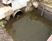 ������ ������ ������ ����������� �������� ����� ����� � ������� ���� �� ����������