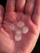 ������ � ���� ������� ����� ��������. ������ ��������� ����������� ��� �������