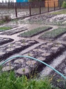 ������ � ���� ������� ����� ��������. ������ ��������� ����������� ��� �������