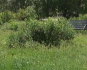 �������� ������ ����� �������� ��������� ������ ������