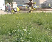 ����� � ������ �������� ������ ������ ���� �� �����