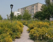 ����� � ������ �������� ������ ������ ���� �� �����