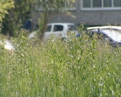 ����� � ������ �������� ������ ������ ���� �� �����