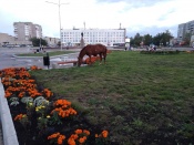 �� ������ ������ �������� ��� �� �������� ���� ����� ��������� ����