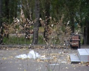 �������� �������������. � ������ � ����� �14 ����������� ������