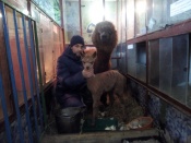 � ������ �������� �������� �������� ��������� ���������� �������. ��������  ������� ��������