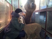 � ������ �������� �������� �������� ��������� ���������� �������. ��������  ������� ��������