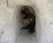 ������ ������ �������� � �������� ������ ��� ����� ������ ����������� �� �����