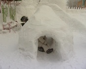 ������ ������ �������� � �������� ������ ��� ����� ������ ����������� �� �����