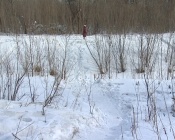 ���� ��������� ������. ��������� ������������ ��������������� ��������� ����