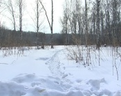 ���� ��������� ������. ��������� ������������ ��������������� ��������� ����