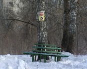 ���� ��������� ������. ��������� ������������ ��������������� ��������� ����