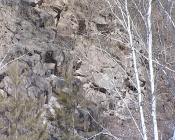 ������: ����� ��� �� ������. ��������� ������ � ������ �������� ����� ��� �������� ���������