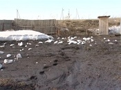 ����������� ����� �������� �����, �� ������ ������� ��� ����