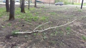 В городе Назарово вандалы разгромили новый сквер «Школьный»