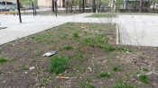 В городе Назарово вандалы разгромили новый сквер «Школьный»