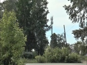 �� ����� ������ ��������� 29-�������� ������������� �����������