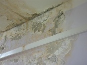 � ������� ����������� ������ �������� �������-�� ������� ������ �����