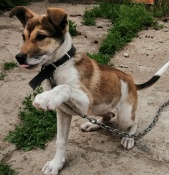 ������� � ������ ����